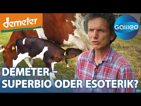 Demeter: How much esotericism is in the organic label? | Galileo | ProSieben