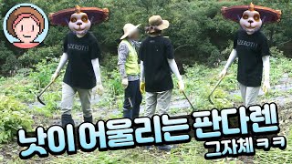 농활 4년 차! 낫 들고 있는 모습이 어울리는 30대 후반 여자 [#농사디링 6탄]