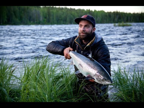 Kengis Bruk Salmon fight from above!