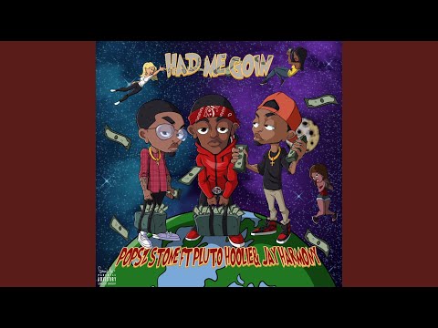 Had Me Goin' (feat. Pluto Hoolie & Jay Harmony)