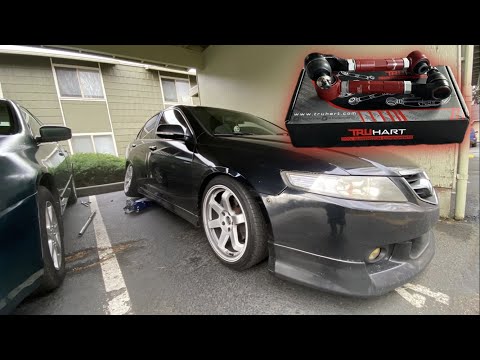 Tsx Gets Truhart Rear Camber Kits