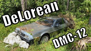 DeLorean lost in TIME, left for rot....