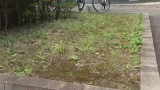 福島第一原発事故の「除染土」を仙台合同庁舎で再生利用へ　東京都以外での活用は初めてと政府が発表 (26/08/25 18:09)