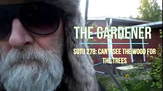 The Gardener (SOTU 278:Can't see the wood for the trees)