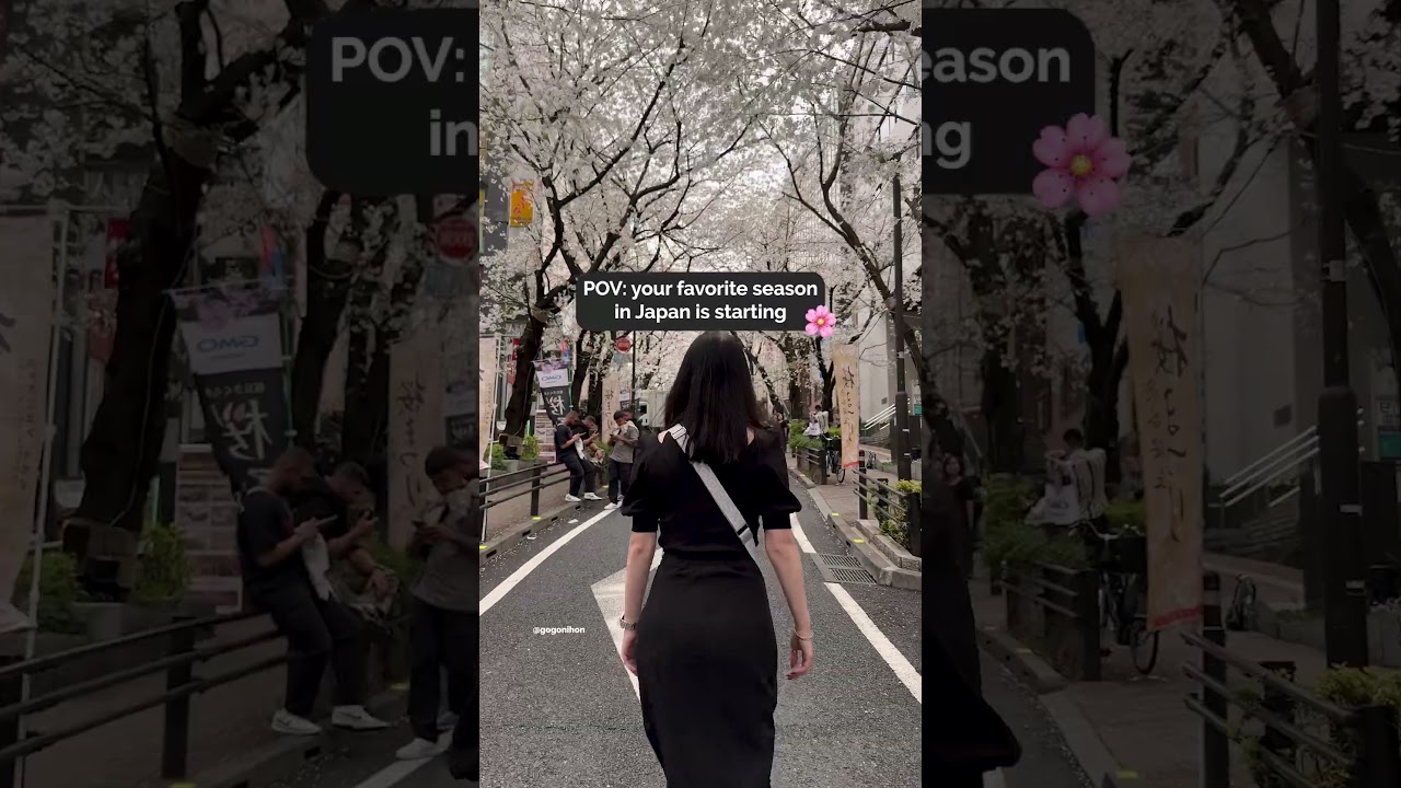 Sakura season is here! 🌸 🍡 #shorts