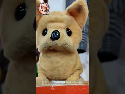 Cute Puppies #cute #dog  #puppy