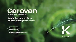 Caravan (Bacillus pumilus CEPA CNPSo 3203) | Resistência ampliada contra doengas