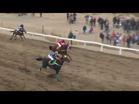 CALLEJERO FINO  "Club Hipico Añelo" - Añelo - 21-05-2023