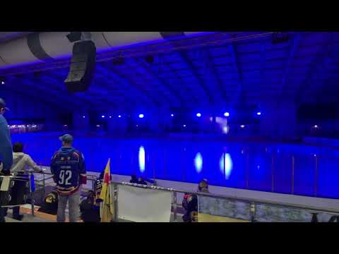 Einlauf der Pforzheimer Bisons 🦬