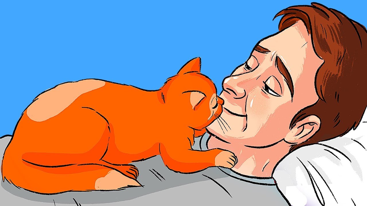 Watch Now Oltre 10 Modi in cui i Gatti ci Dimostrano il Loro Amore Oltre 10 Modi in cui i Gatti ci Dimostrano il Loro Amore