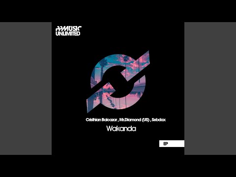 Wakanda (Original Mix)