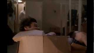 Ace Ventura Pet Detective: Hiding in the Box