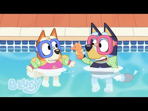 Capa de Salpicando ao redor | Bluey Português Brasil Canal Oficial