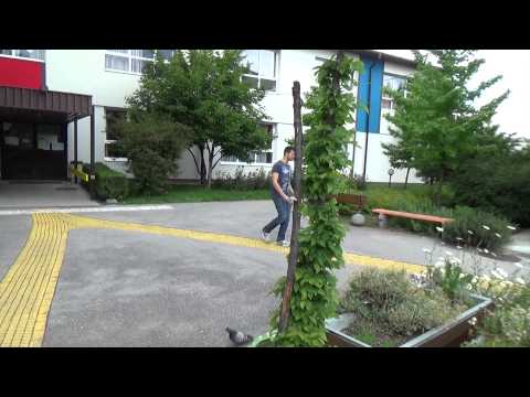 MUZIKA JE MOJ ŽIVOT