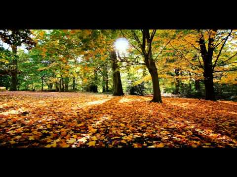 Stryju - Od Jesieni Do Jesieni (Prod. BRX)