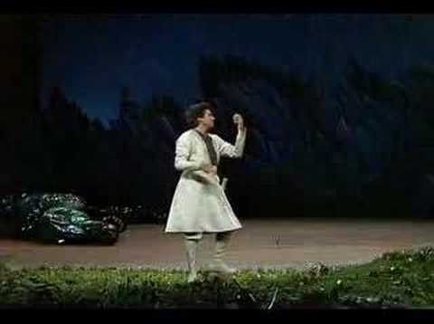 Mozart- Dies Bildnis ist bezaubernd schön- Die Zauberflöte