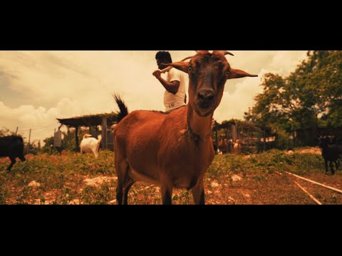 Shawn Storm - Possible