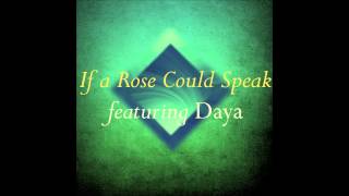 "The Wonder Well" highlights