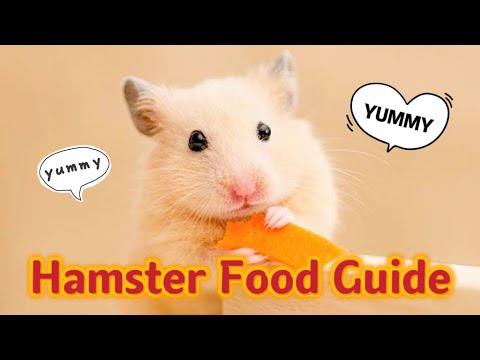 Safe & Unsafe Hamster Foods