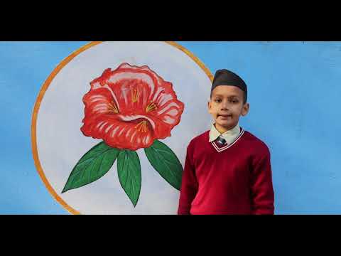 Nepal APF School Jhalari video