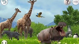 Baby Panda - Real Animals ♔ Kids Learn About Animals & Sounds ♔ Life-like Animals 3D Games