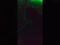 Daddy Ron Massage Therapy Sample Video Massage