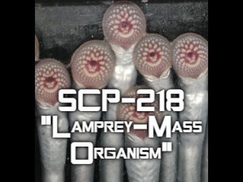 SCP-218 "Lamprey-Mass Organism"