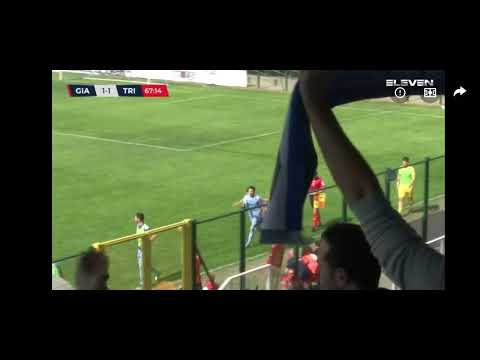 Giana Erminio vs Triestina 1-1.  Highlights 37°Giornata Serie C