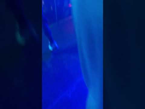 Jahonze - Live Performance @ Torino Italy