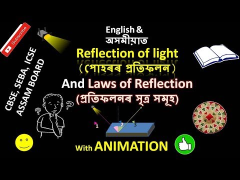 Physics(পদাৰ্থ বিজ্ঞান) Class X[SEBA/CBSE]: Learn Reflection of Light(1) ANIMATED