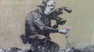 Embrace - Natures Law