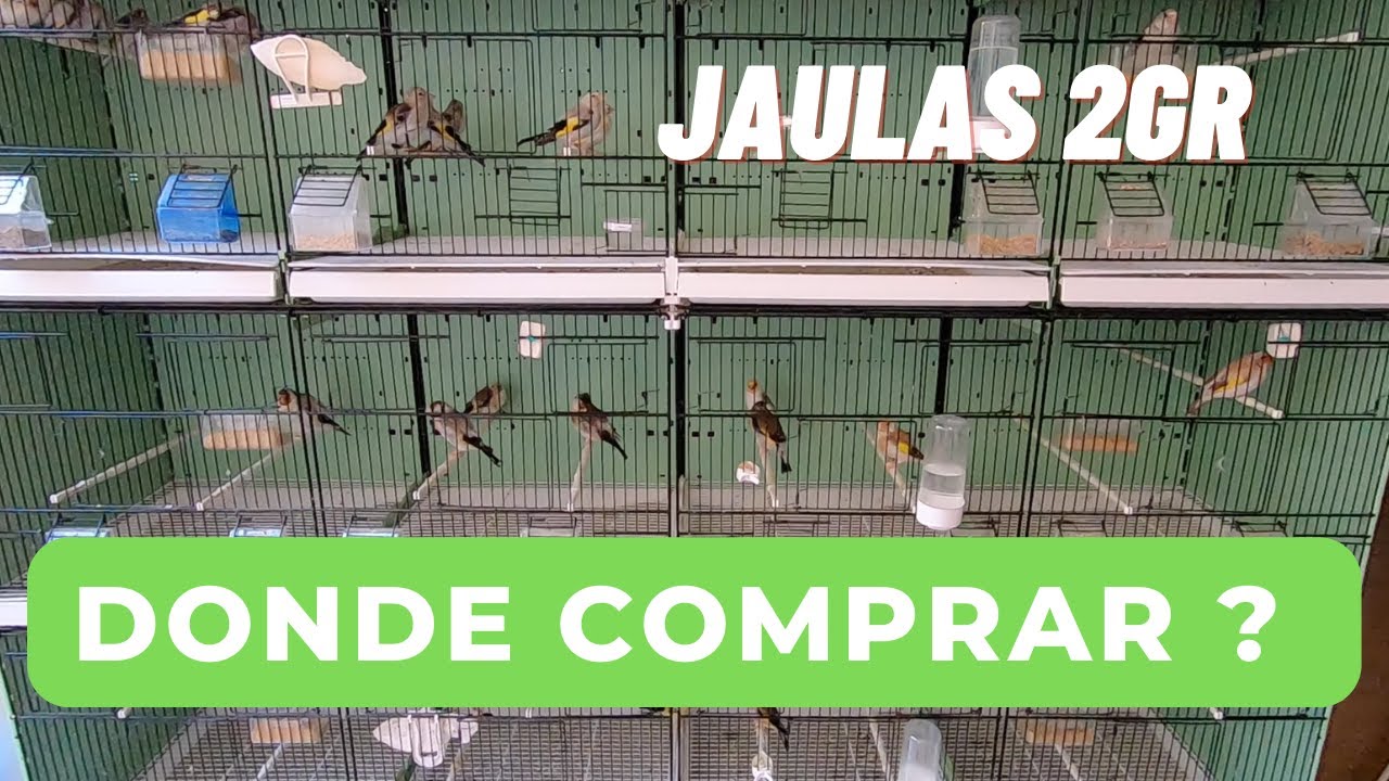 Watch JAULAS 2GR ,DONDE LAS COMPRO Y SE VENDEN ACCESORIOS Now JAULAS 2GR ,DONDE LAS COMPRO Y SE VENDEN ACCESORIOS