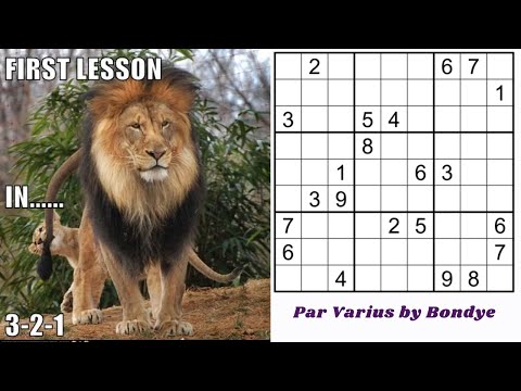 How To Solve Sudoku Puzzles The Hard Way - Sudoku Handmade Classics #19
