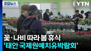 꽃·나비 따라 봄 휴식...'태안 국제원예치유박람회' / YTN