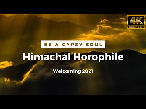 Himachal Pradesh | Himalayas Cinematic 4k | SADHUPUL, SOLAN, CHAIL.