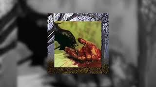 $uicideboy$ - Ocean $ide $uicide