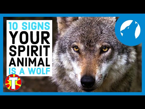 What Is Your Spirit Animal? Wolf Edition