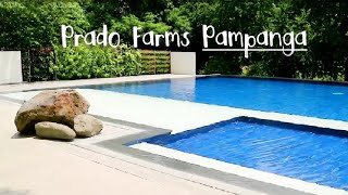 preview picture of video 'Prado Farms Pampanga: Mercado Trip'