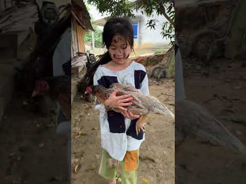 The poor girl rescues the mother hen and her chicks.