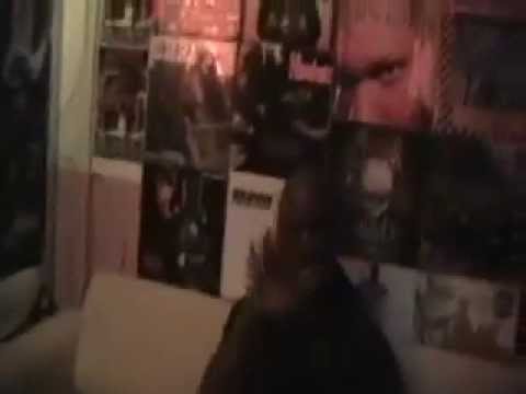 AP CHIEN FOU RETBI 4 40 STUDIO OCHENTA