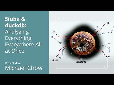 Siuba and duckdb: Analyzing Everything Everywhere All at Once - posit::conf(2023)