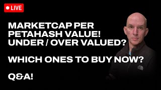 Miners Market Cap Per Petahash Value! Under Or Over Valued? Which Ones To Buy Now? Q&A!
