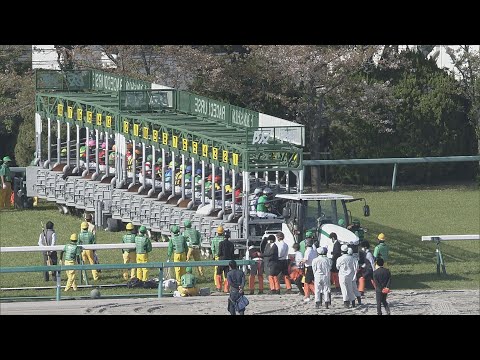 2021 Oka Sho (Japanese 1000 Guineas) (G1)