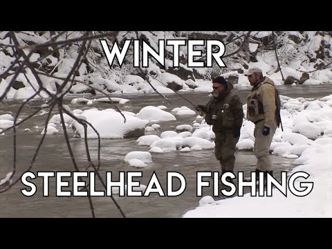 Winter Steelhead Fishing