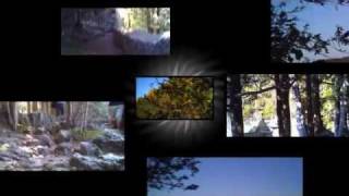 Video Sunglasses avail. from vsun.ca-Eugunia Falls/ Beaver Valley ON, 2011