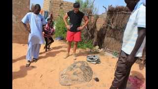 preview picture of video 'Keur de Toubab au Sénégal'