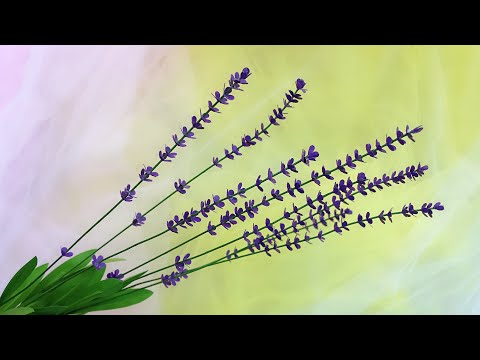 ABC TV | How To Make Lavender Paper Flower With Shape Punch #4 - Craft Tutorial