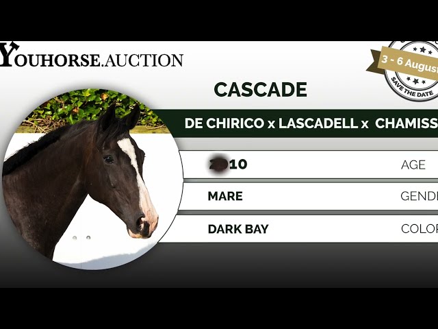 Cascade