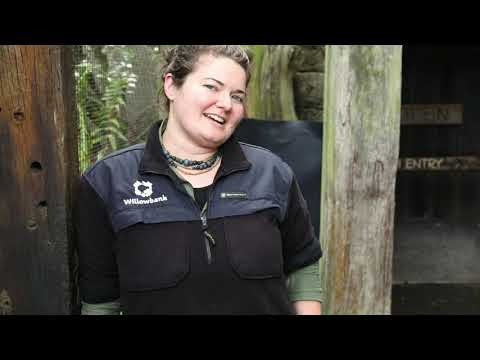 Introduction to Willowbank Wildlife Reserve
