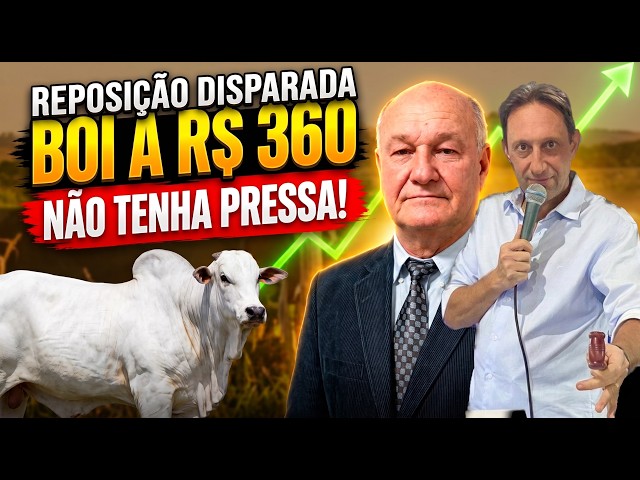Arroba do Boi a R$ 360 e Reposição Disparando: Por Que o Produtor Precisa de Cautela?